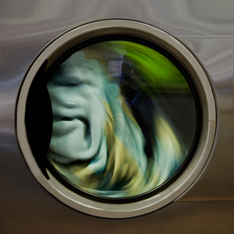 Illustration for article titled Scary creatures are hiding inside our washing machines